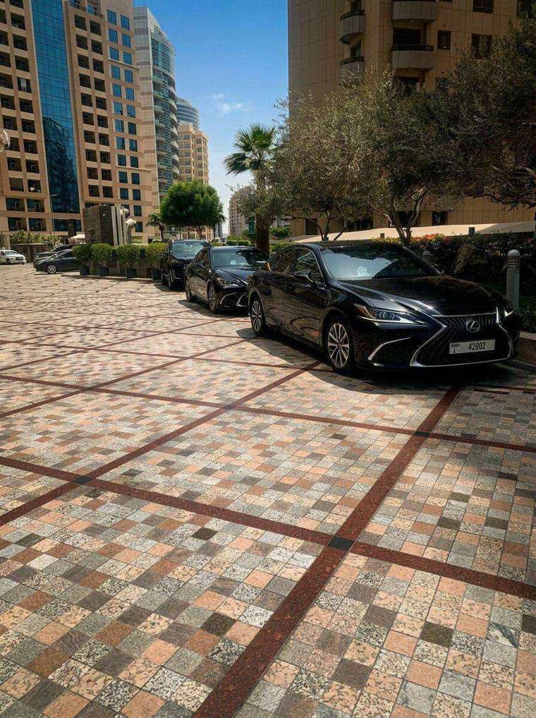 Red Carpet Limousine Lexus fleet parked in Dubai