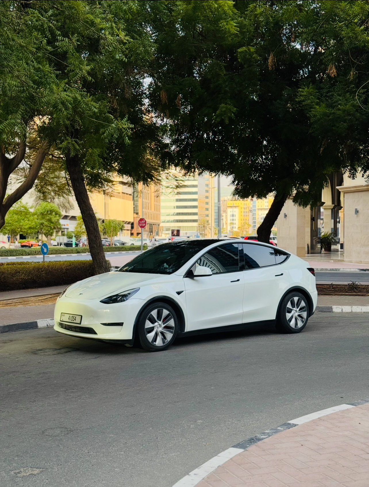 Tesla Model Y — side profile under trees